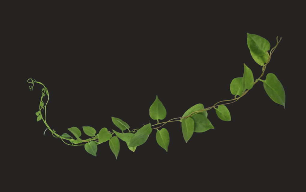 THE MOSSWAY detail 7-0