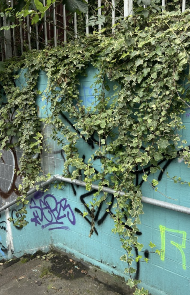THE MOSSWAY detail 2-0